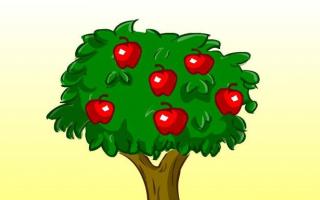 Сочинение-рассуждение по пословице «Яблоко от яблони недалеко падает