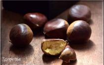 How horse chestnut is used in folk and traditional medicine
