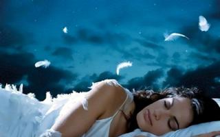 Por que os animais sonham - interpretação do sono